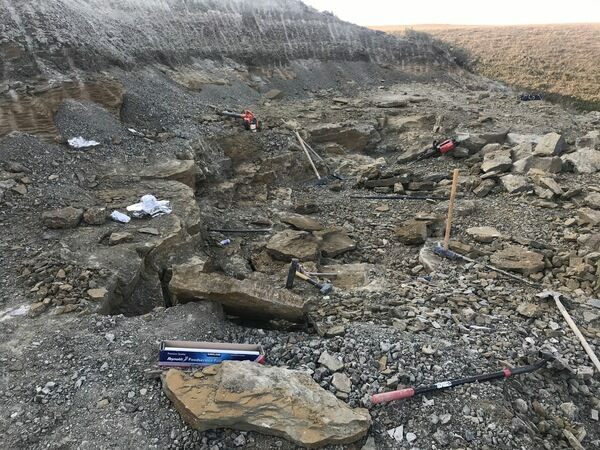 A view of the Two Medicine Formation quarry operated by Northwest Montana Fossils where much of our Two Medicine dinosaur material has been found.